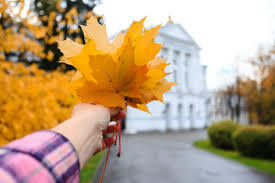 /news/projects/3617/