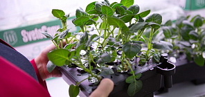 /news/best_practices/3436/