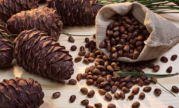 /news/best_practices/3415/