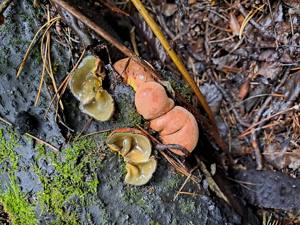 /news/best_practices/3466/