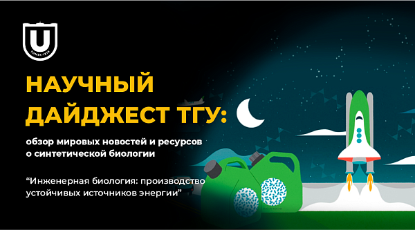 /news/projects/3350/